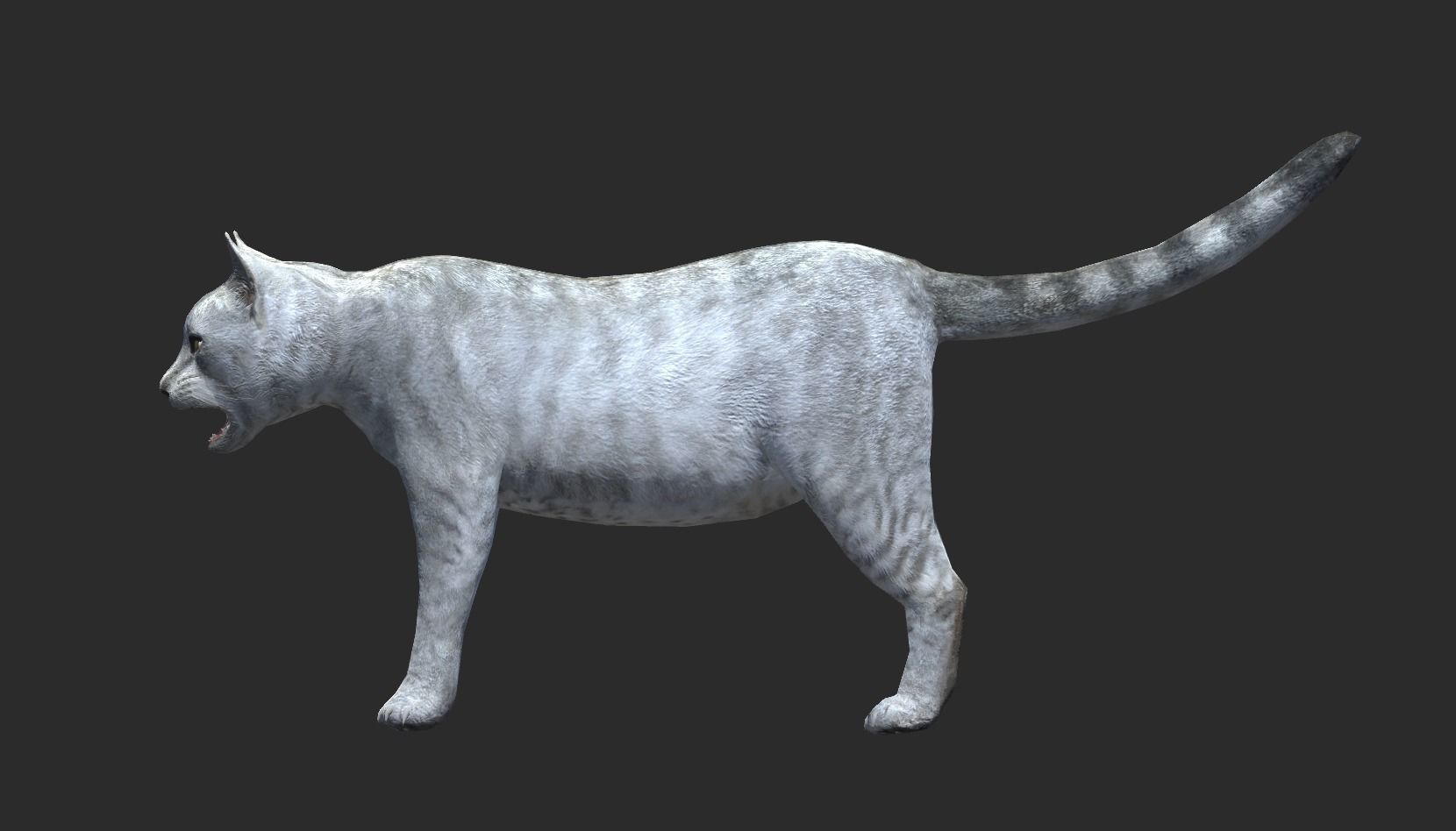 Heterochromia Cat Rigged Low-poly 3D model_8