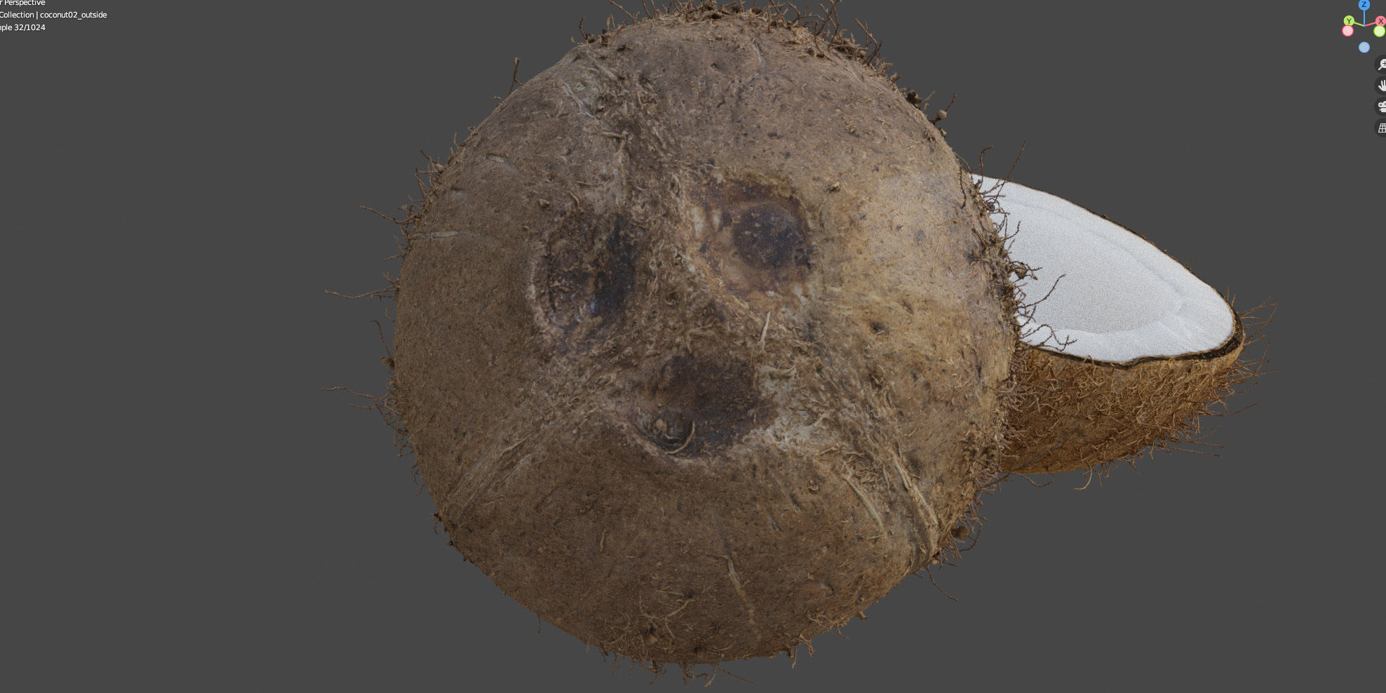 4k scanned coconut 02 3D model_18