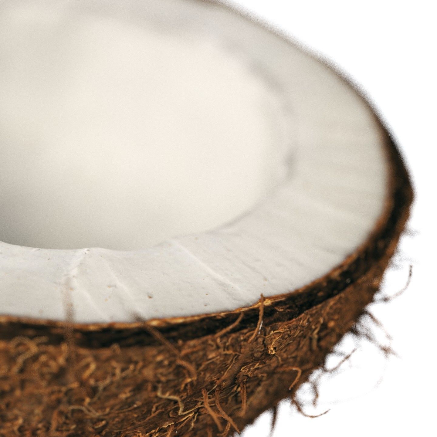 4k scanned coconut 02 3D model_8