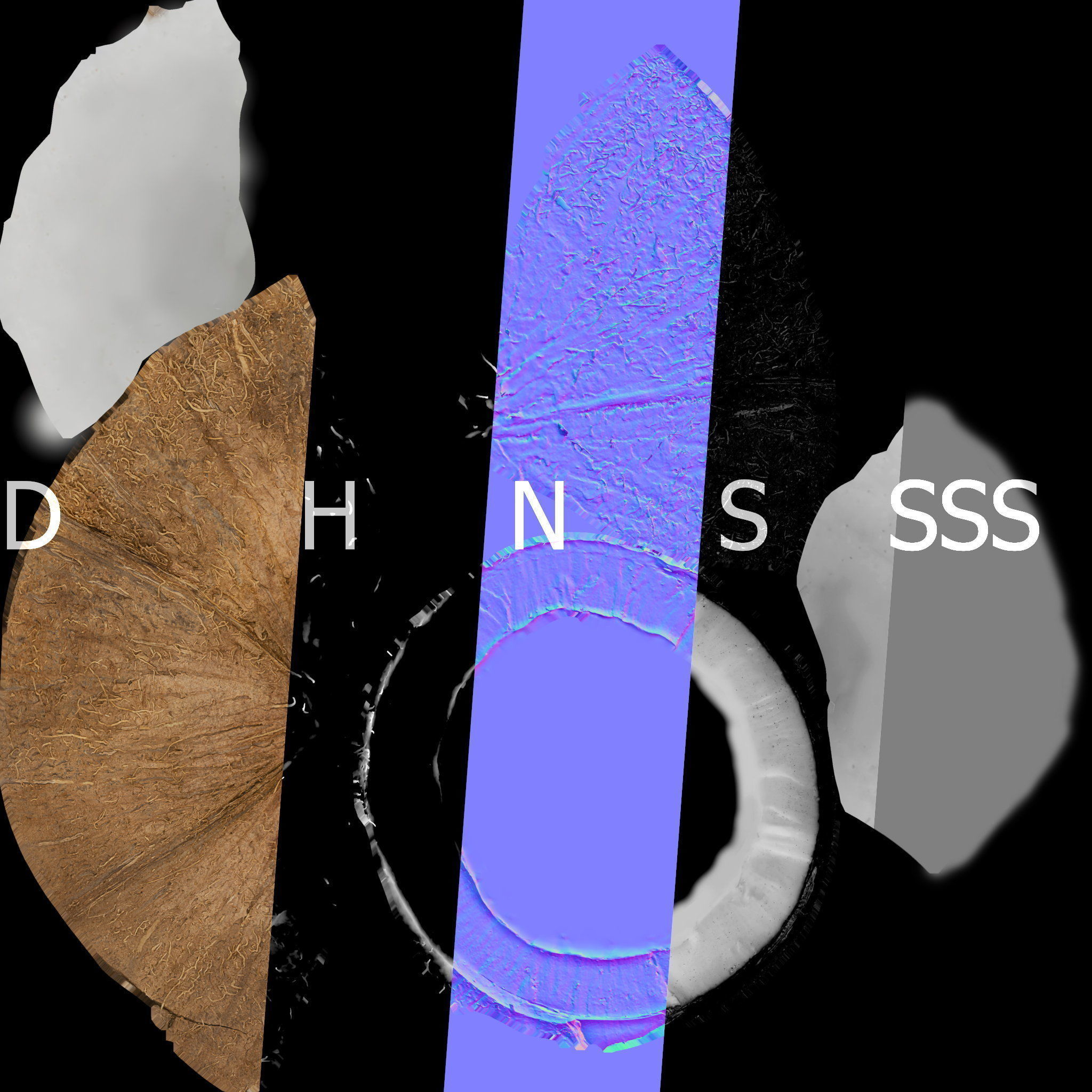 4k scanned coconut 02 3D model_27