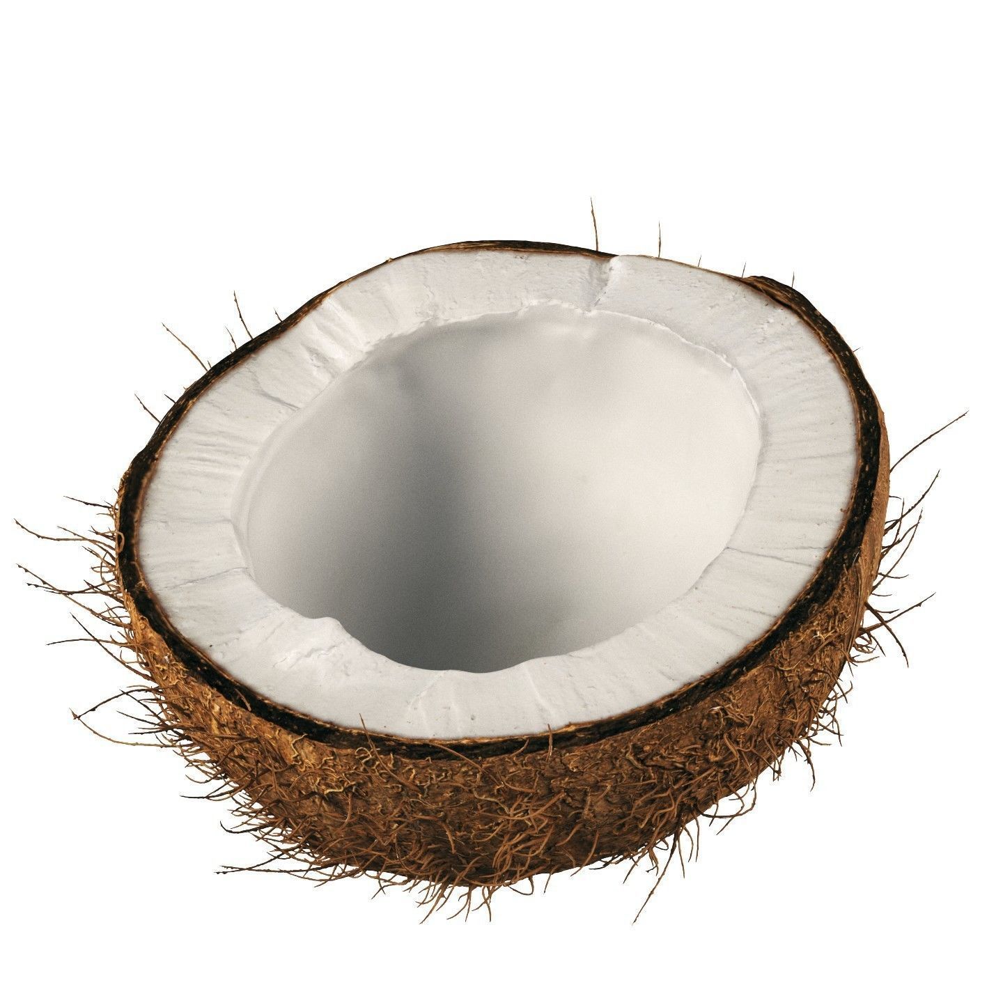 4k scanned coconut 02 3D model_5