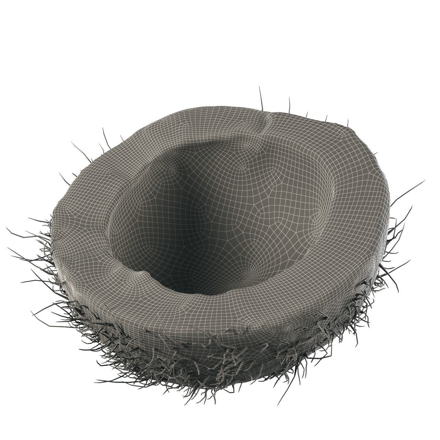 4k scanned coconut 02 3D model_10