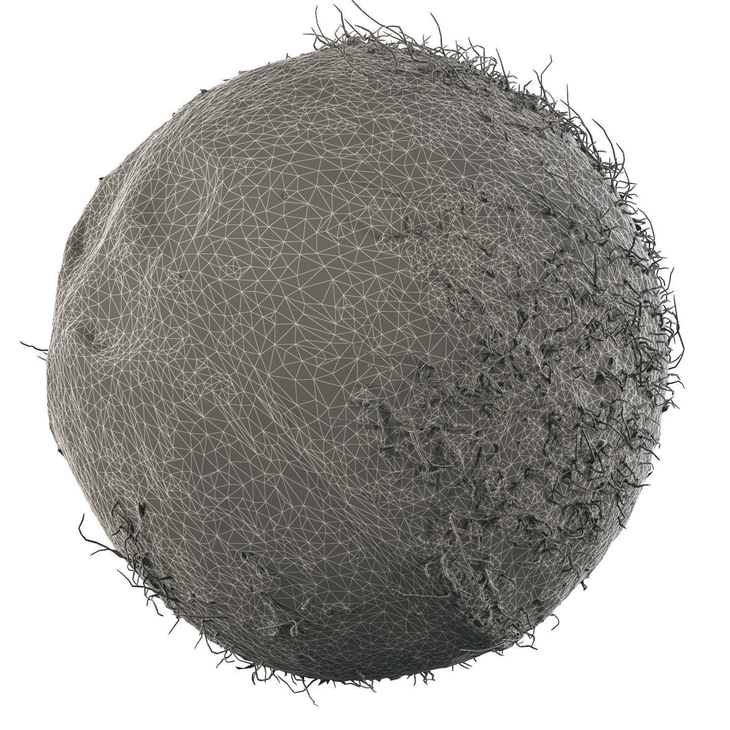 4k scanned coconut 02 3D model_12