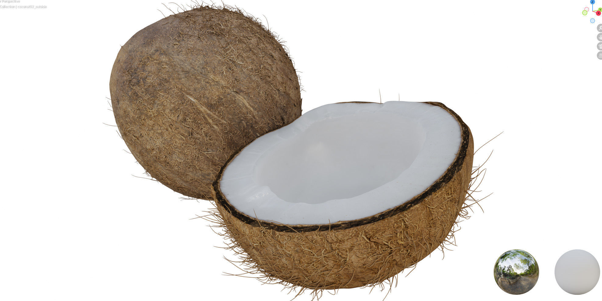 4k scanned coconut 02 3D model_15