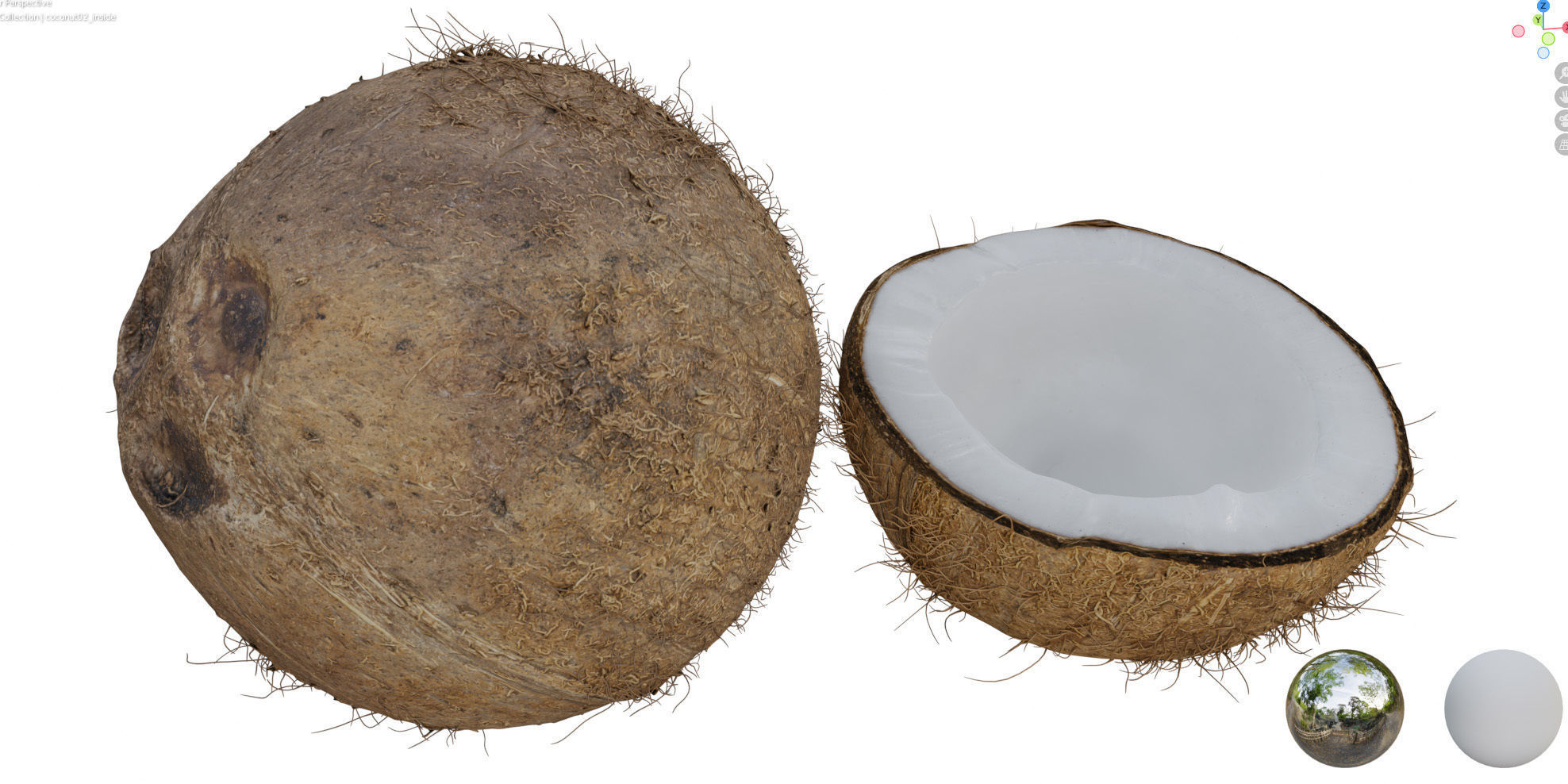 4k scanned coconut 02 3D model_22