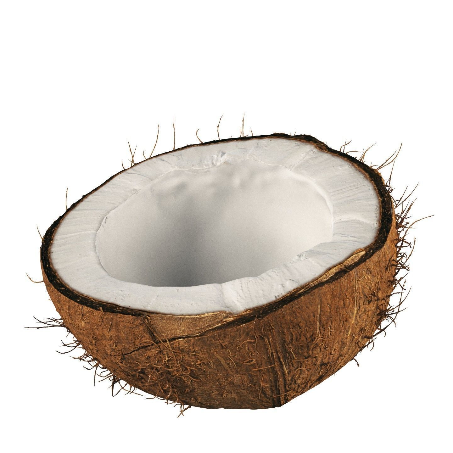 4k scanned coconut 02 3D model_4
