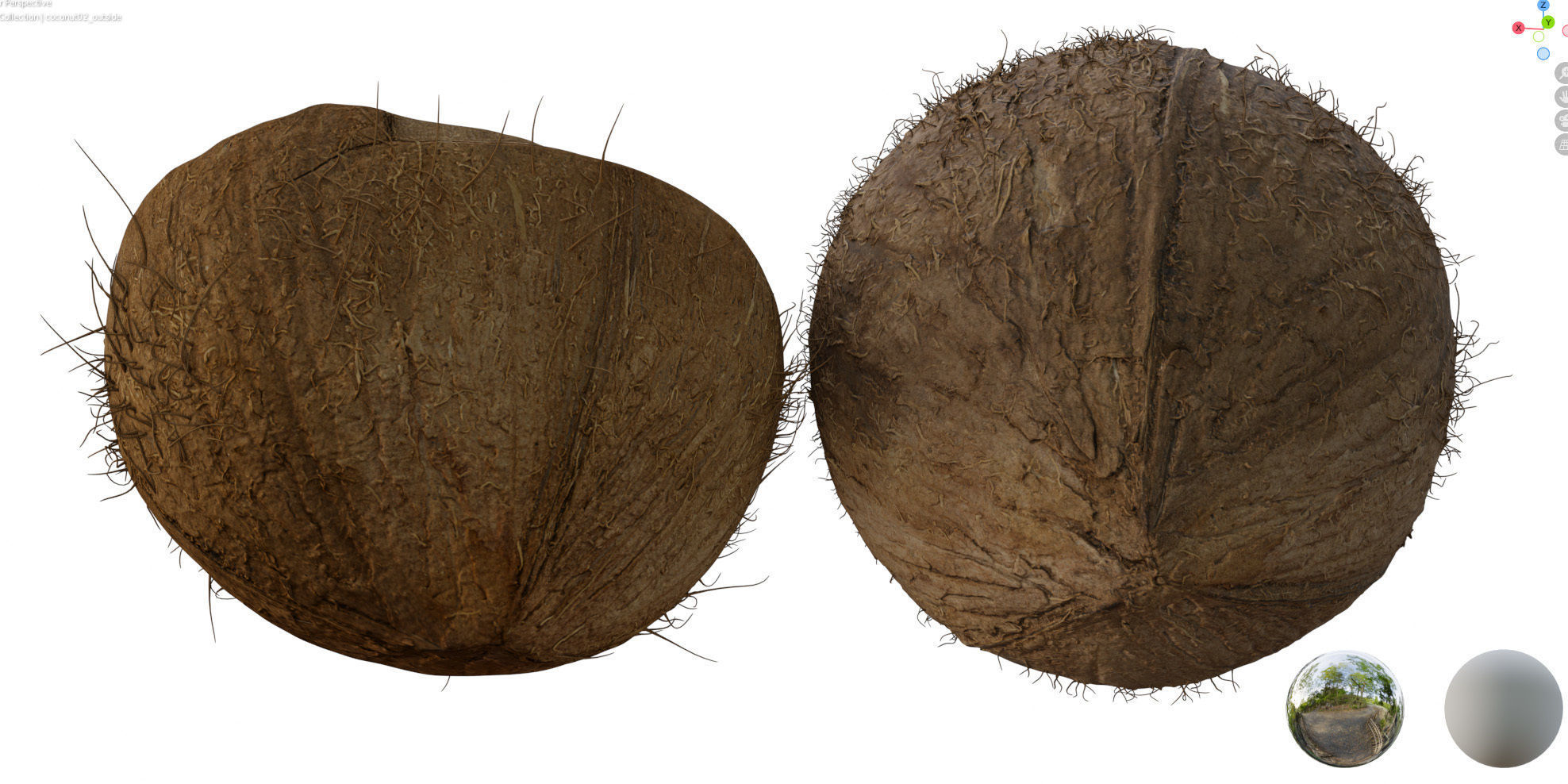 4k scanned coconut 02 3D model_17