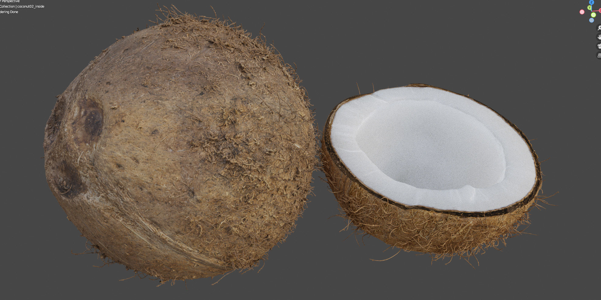 4k scanned coconut 02 3D model_20