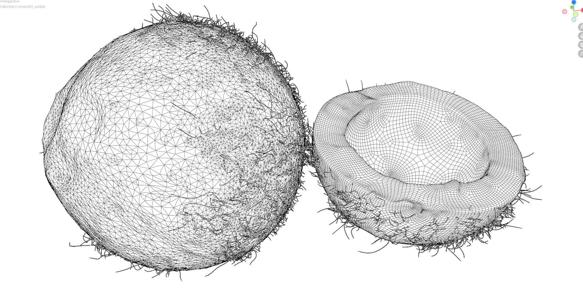 4k scanned coconut 02 3D model_14