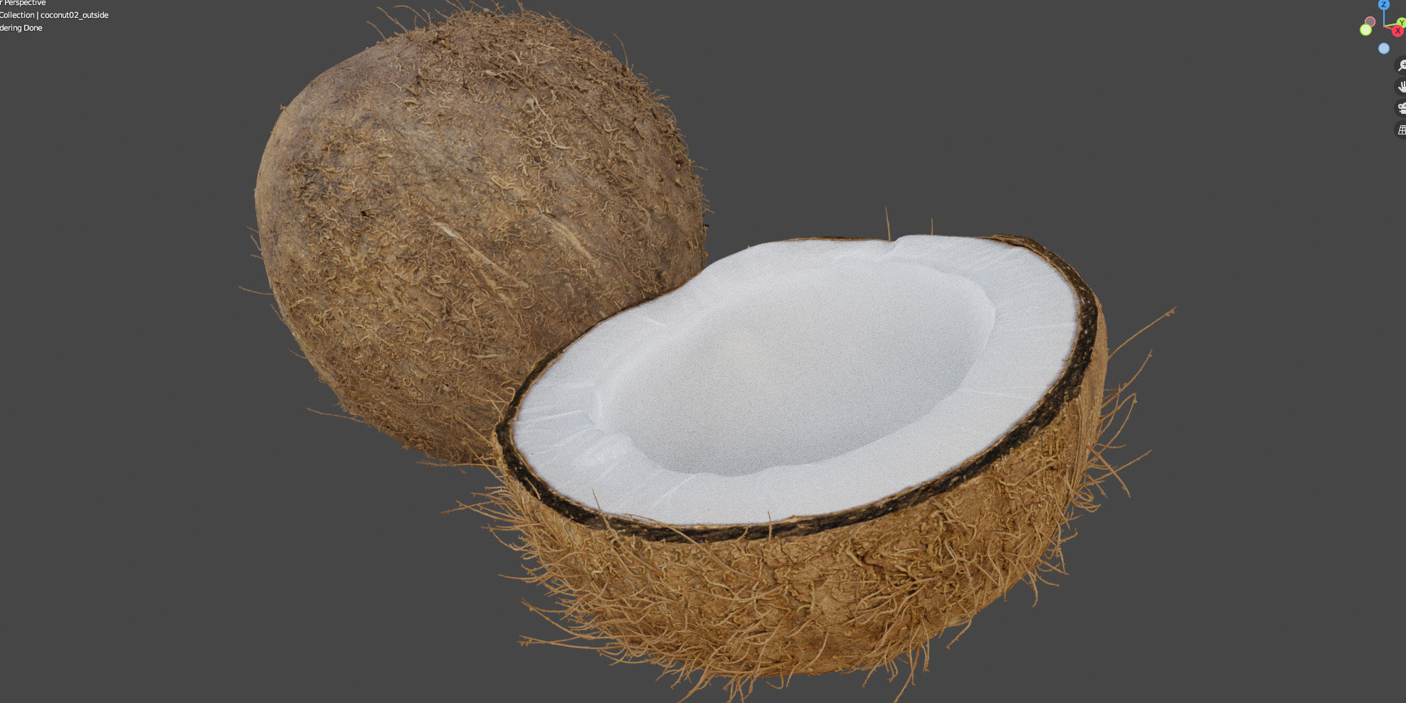 4k scanned coconut 02 3D model_13