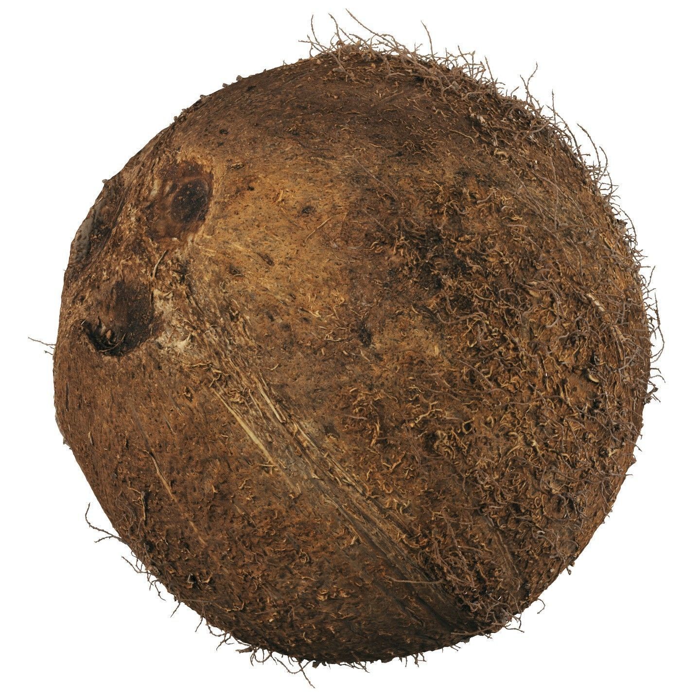 4k scanned coconut 02 3D model_3