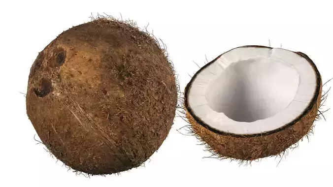 4k scanned coconut 02 3D model