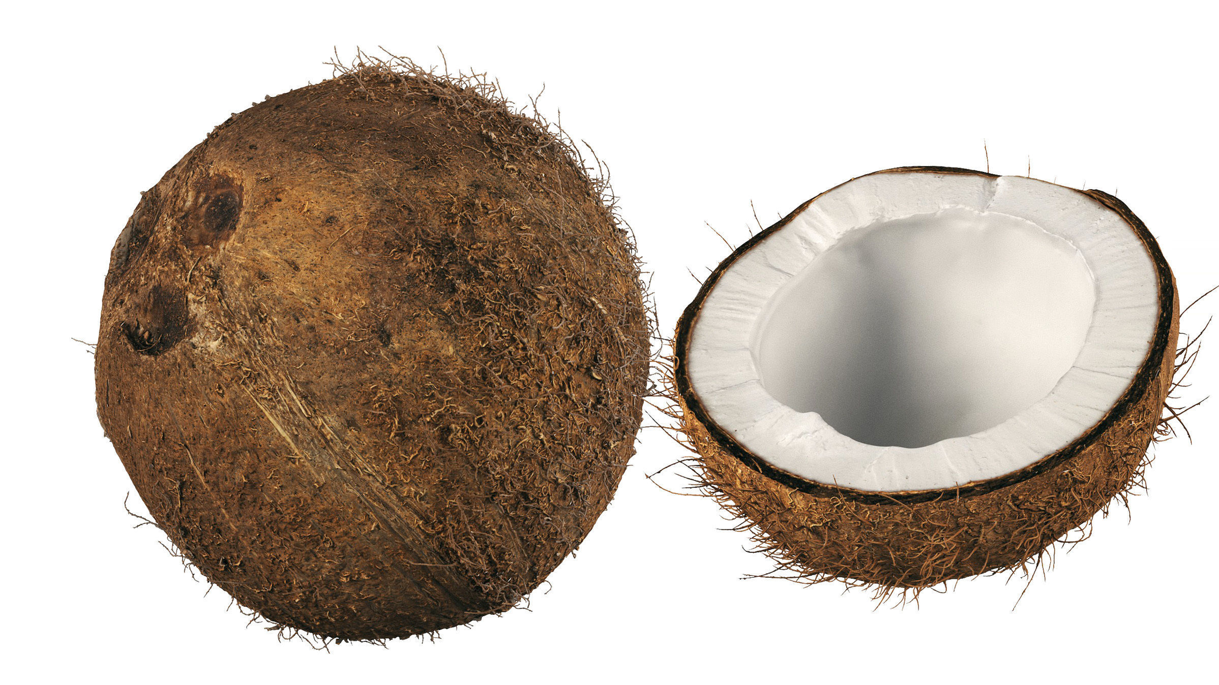4k scanned coconut 02 3D model_23
