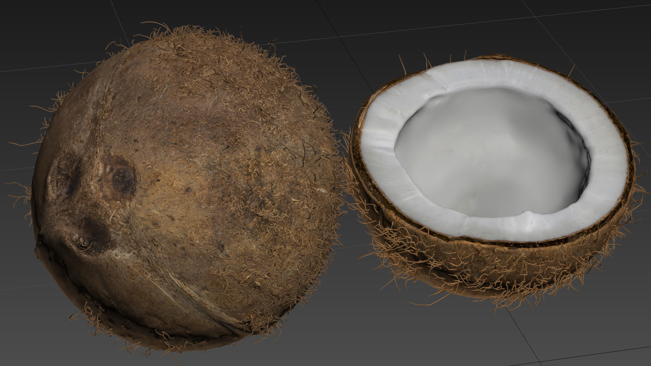 4k scanned coconut 02 3D model_25