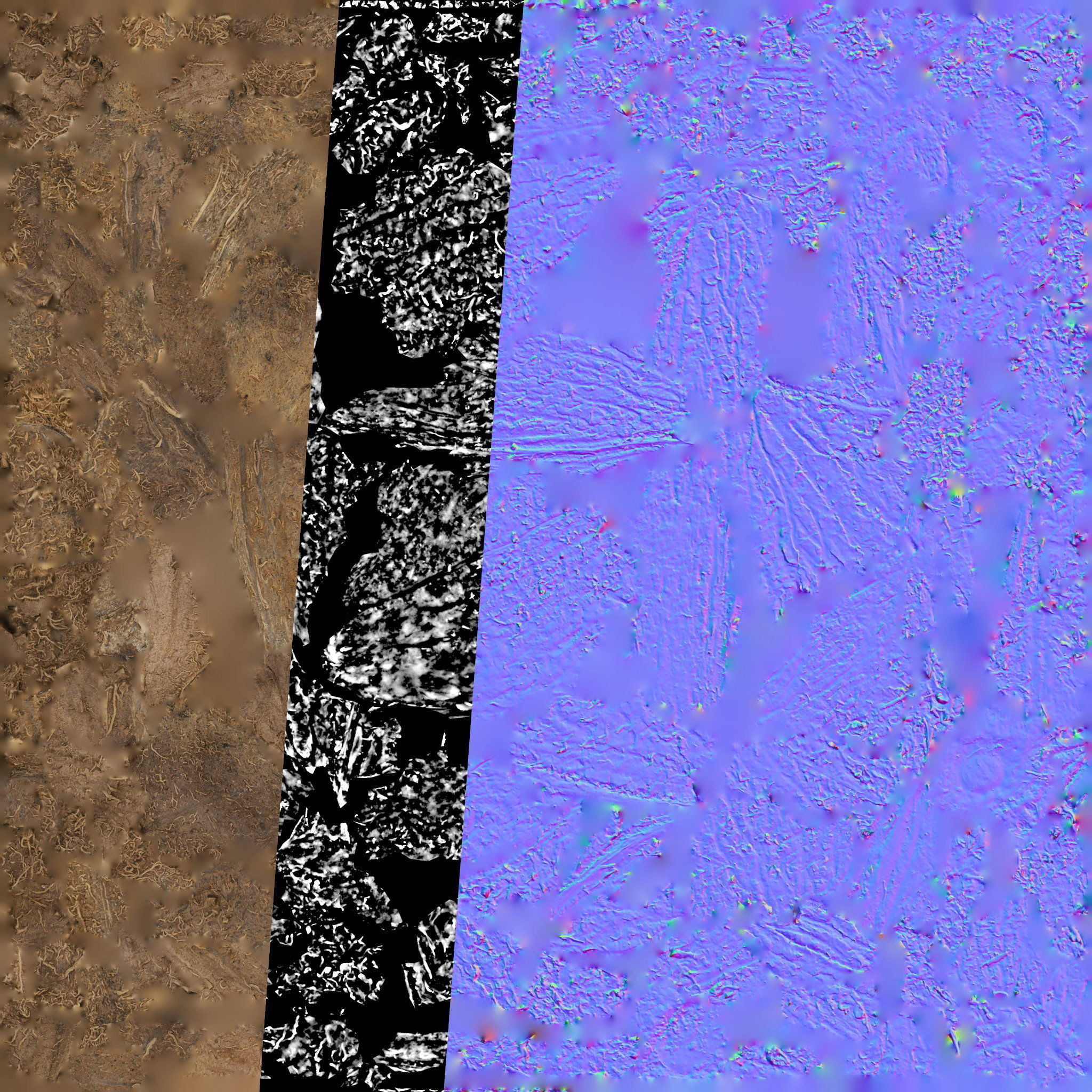 4k scanned coconut 02 3D model_26