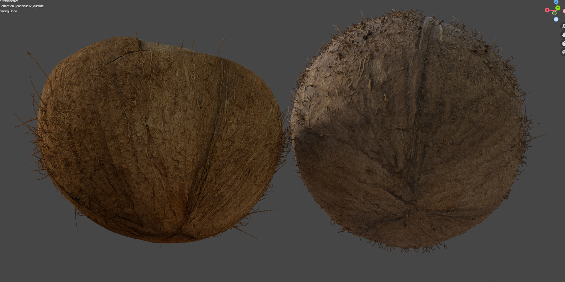 4k scanned coconut 02 3D model_16