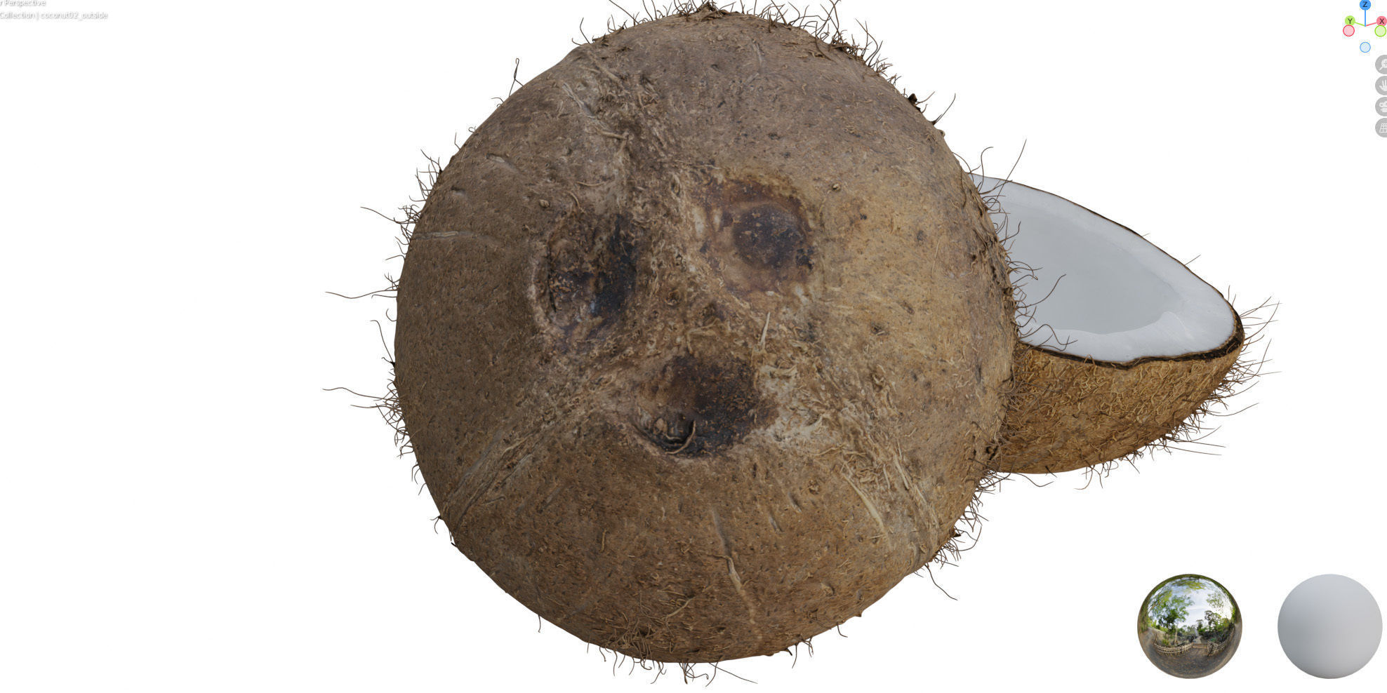4k scanned coconut 02 3D model_19
