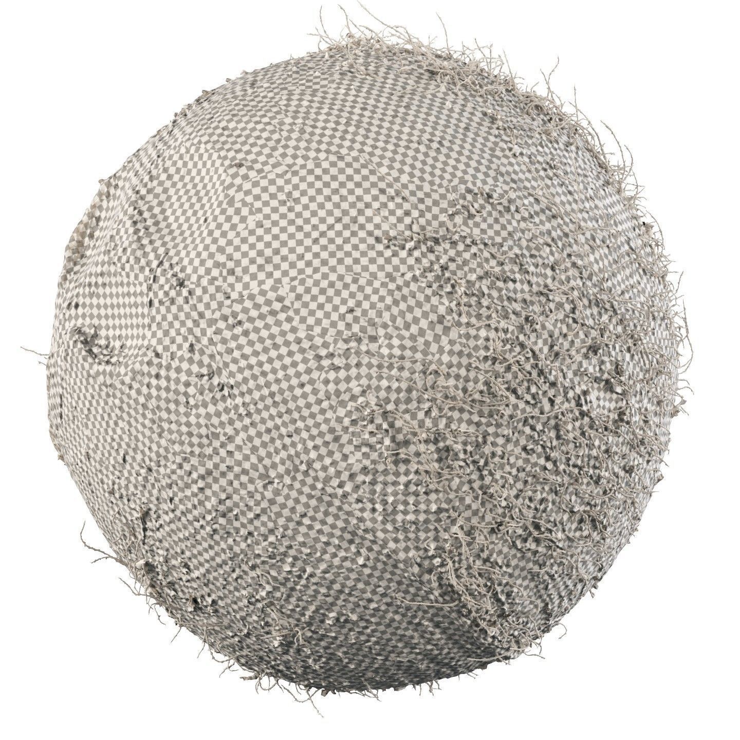 4k scanned coconut 02 3D model_9