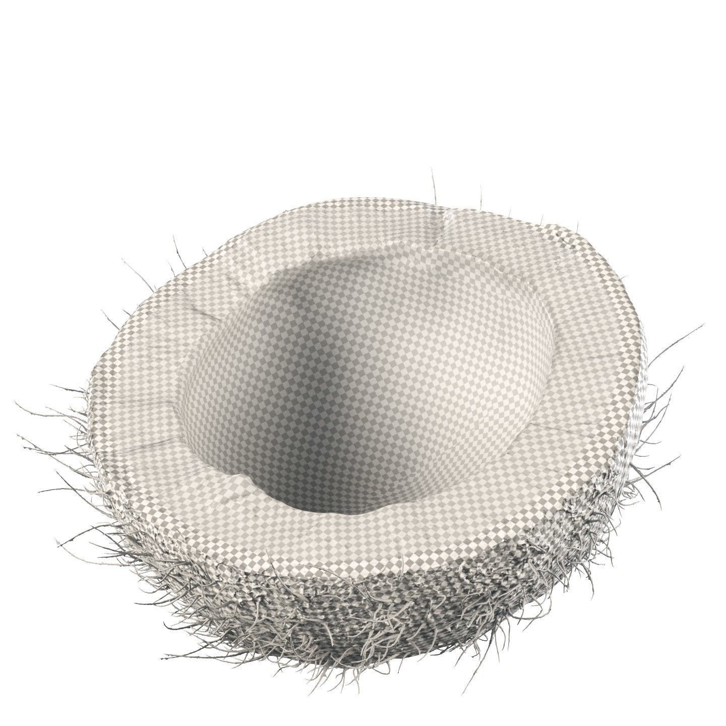 4k scanned coconut 02 3D model_11