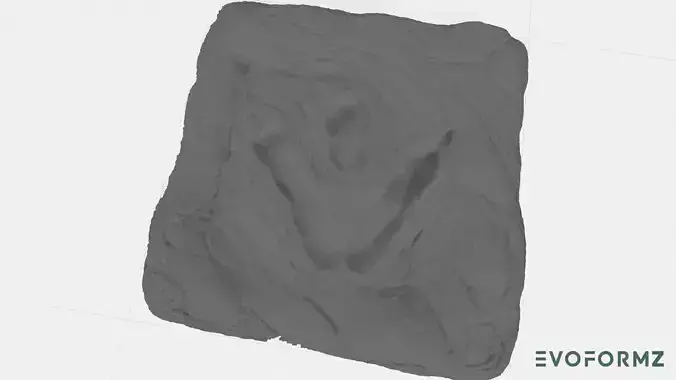 Tyrannosaurus Rex Footprint  3D print model