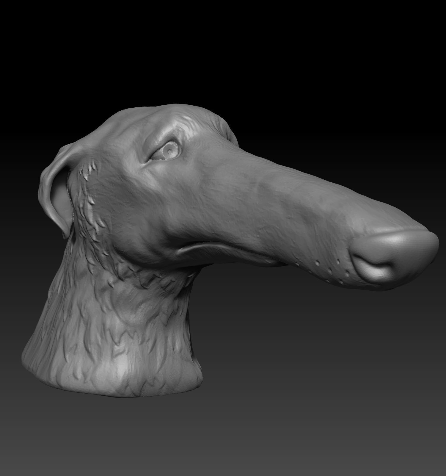Borzoi Meme Dog head 3D print model_1