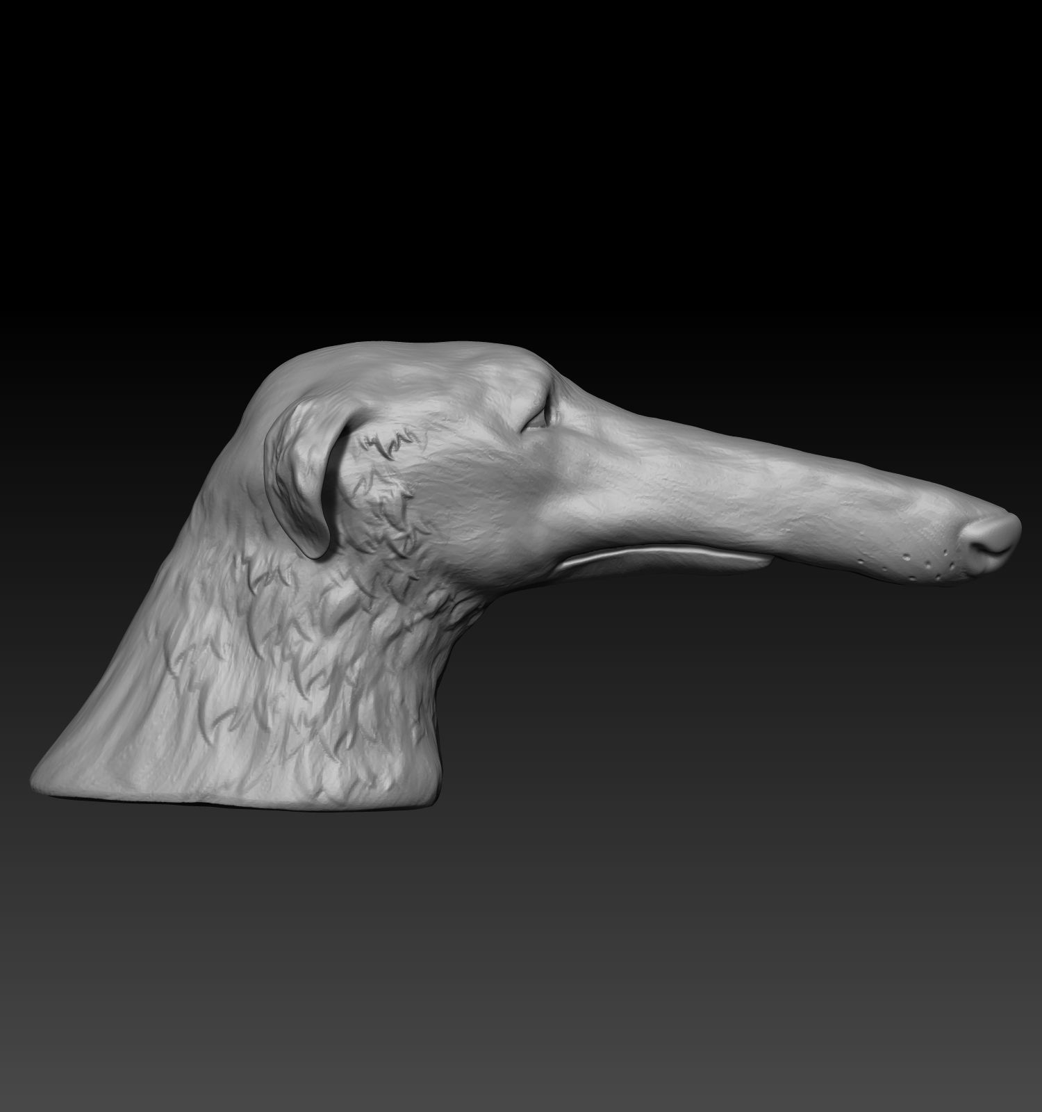Borzoi Meme Dog head 3D print model_2