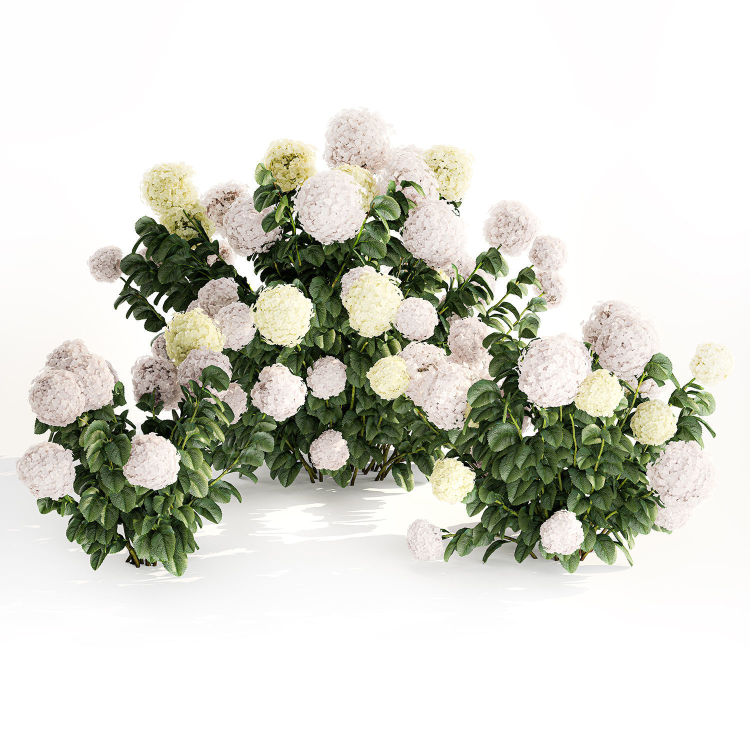Hydrangea bushes for garden landscaping 1180 3D model_5