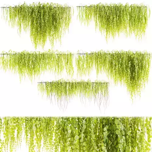 Collection plant vol 443 - Outdoor - bush - ivy 3D model