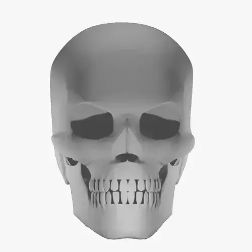 SKULL 3D model