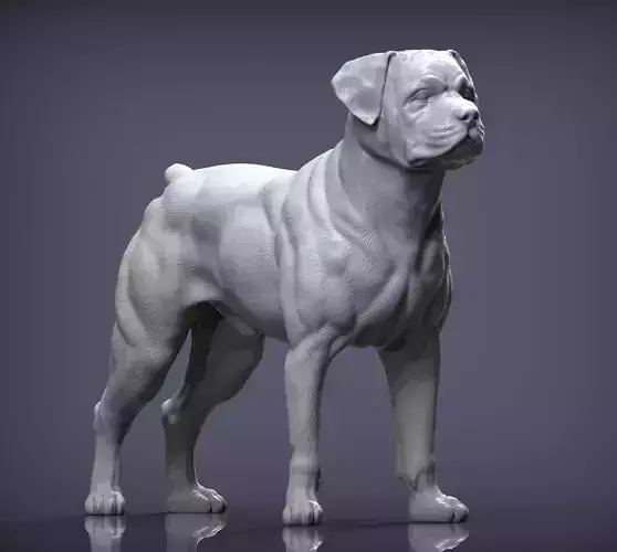 rottweiler  dog 3D print model