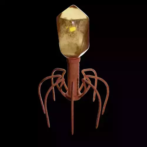 Bacteriophage virus 3D model sci-fi