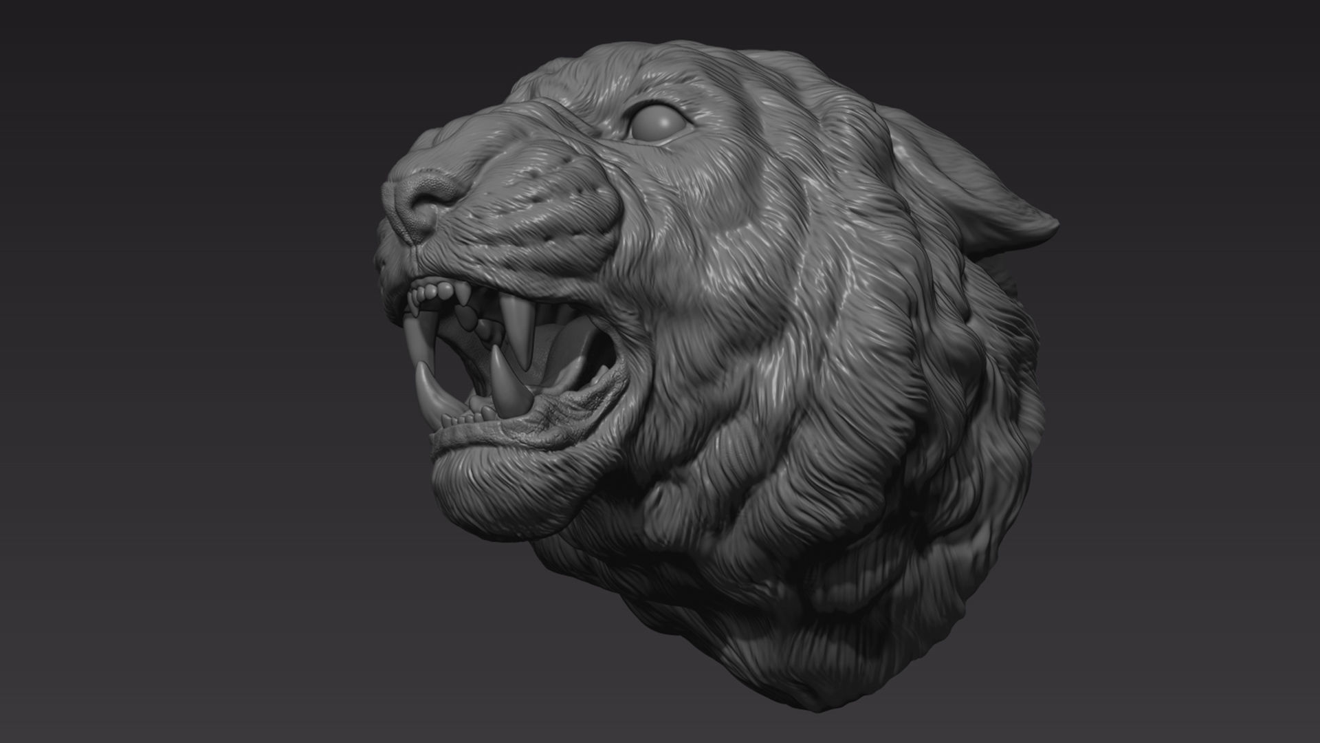 Tiger head roar  3D print model_7