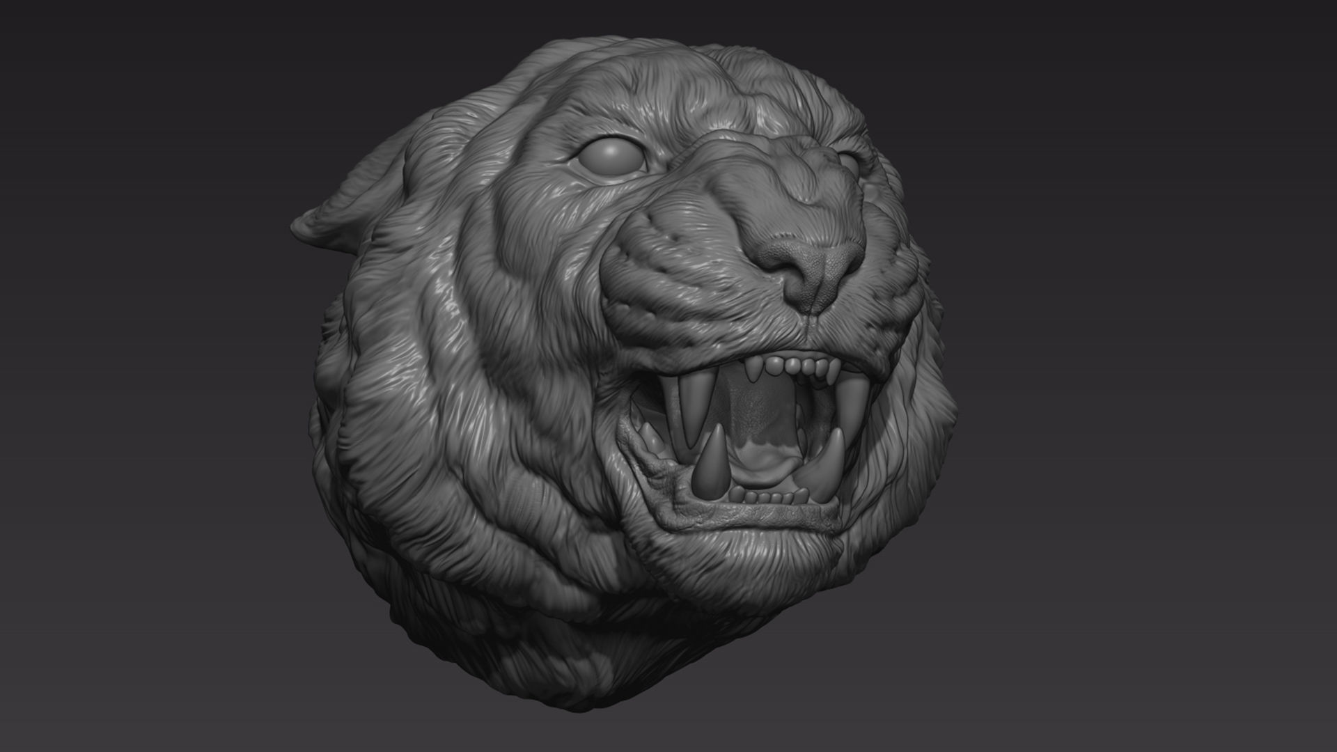 Tiger head roar  3D print model_5