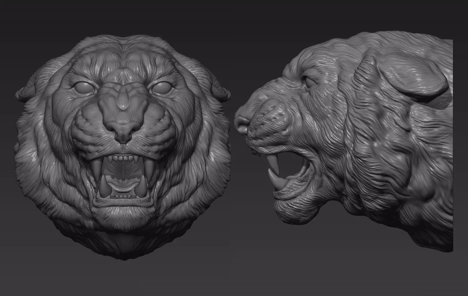 Tiger head roar  3D print model_0