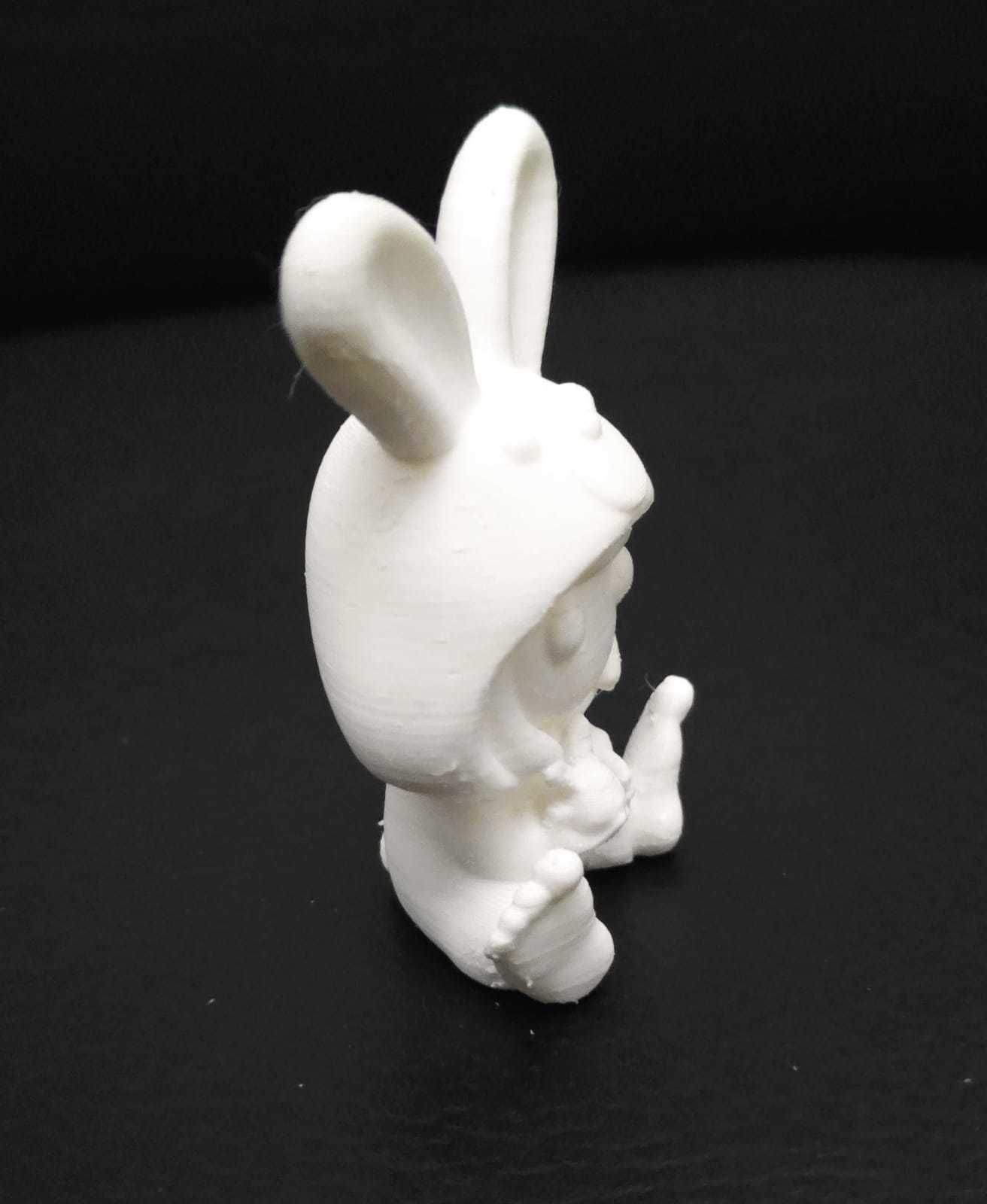 Girl Bunny Clothes 3D print model_10