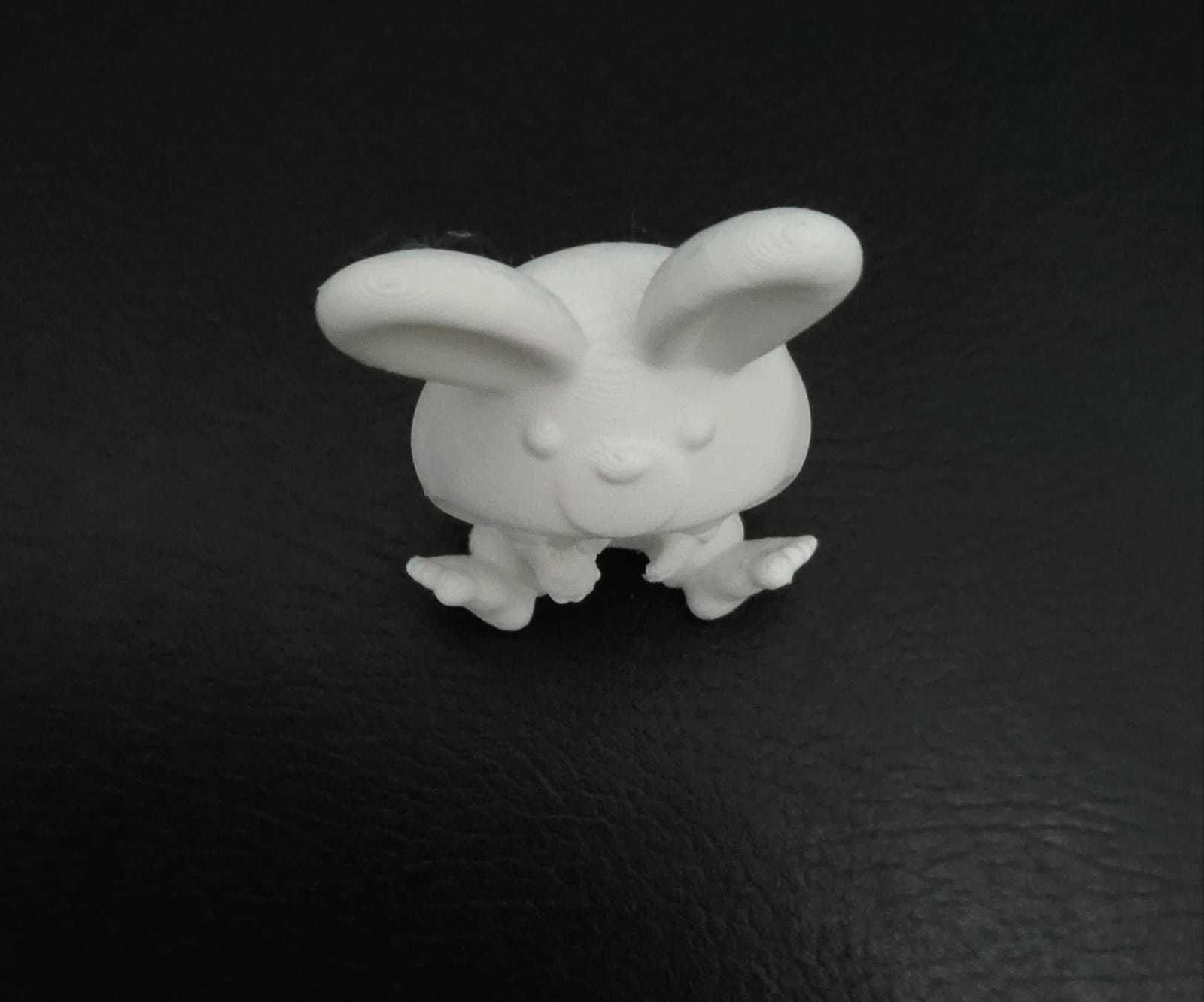 Girl Bunny Clothes 3D print model_13