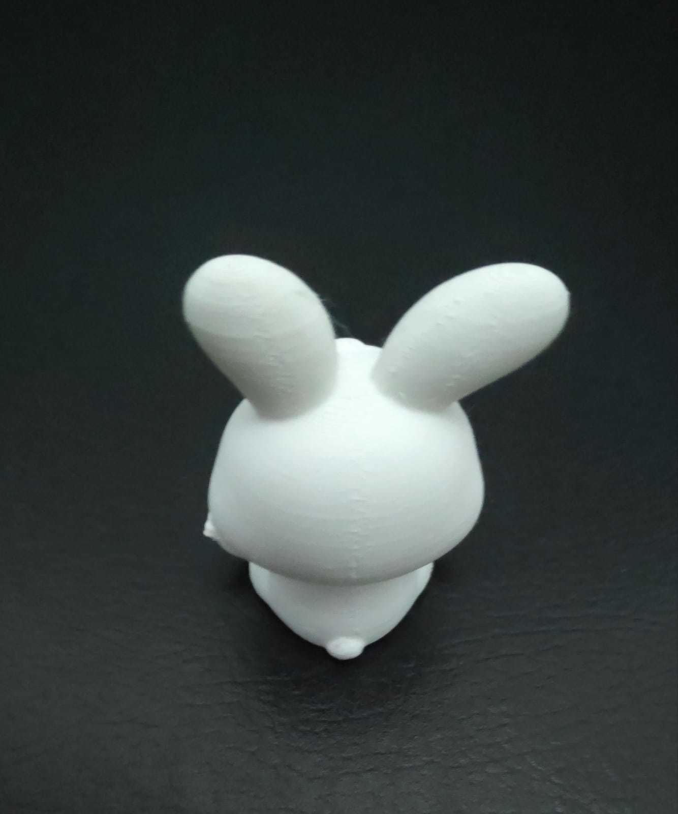 Girl Bunny Clothes 3D print model_8