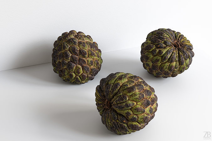 Cherimoya 3D model