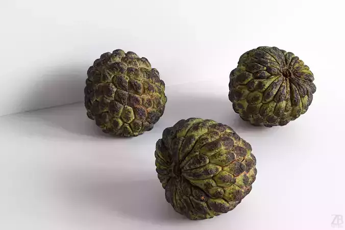 Cherimoya 3D model