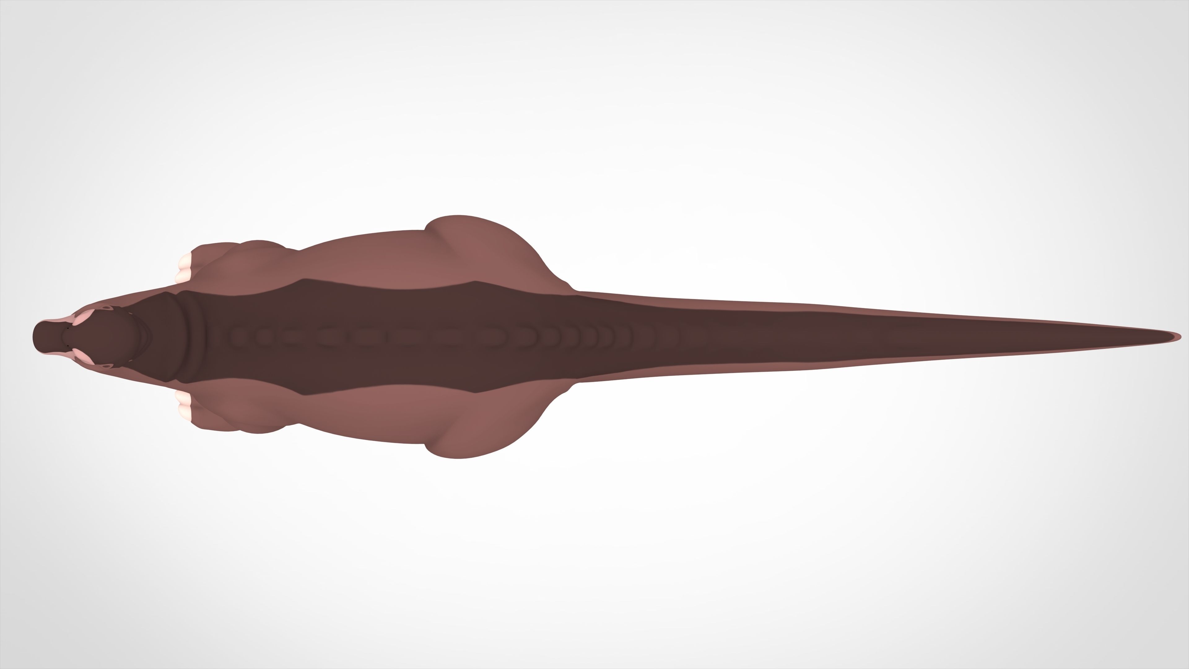 Bron Longneck 3D model_4