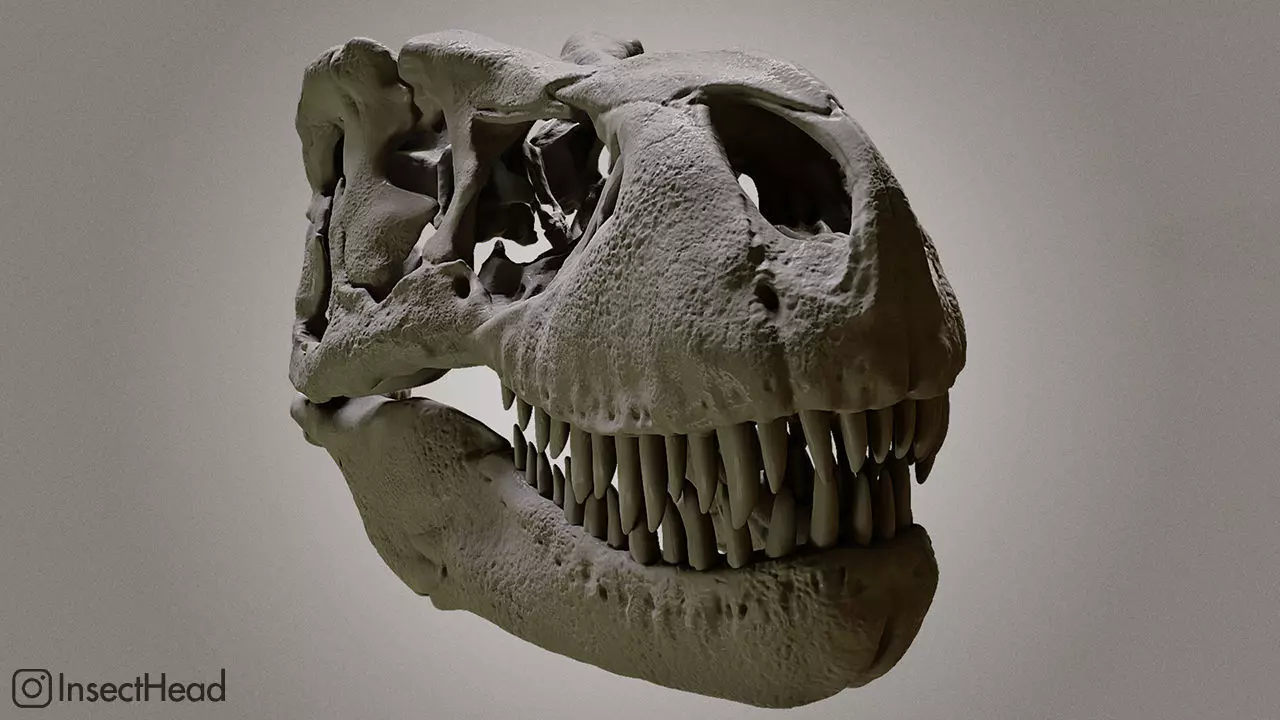 Realistic T-rex skull  3D print model_0