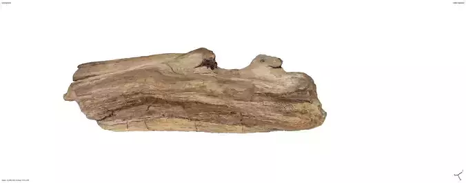 Driftwood 2 Low-poly 3D model