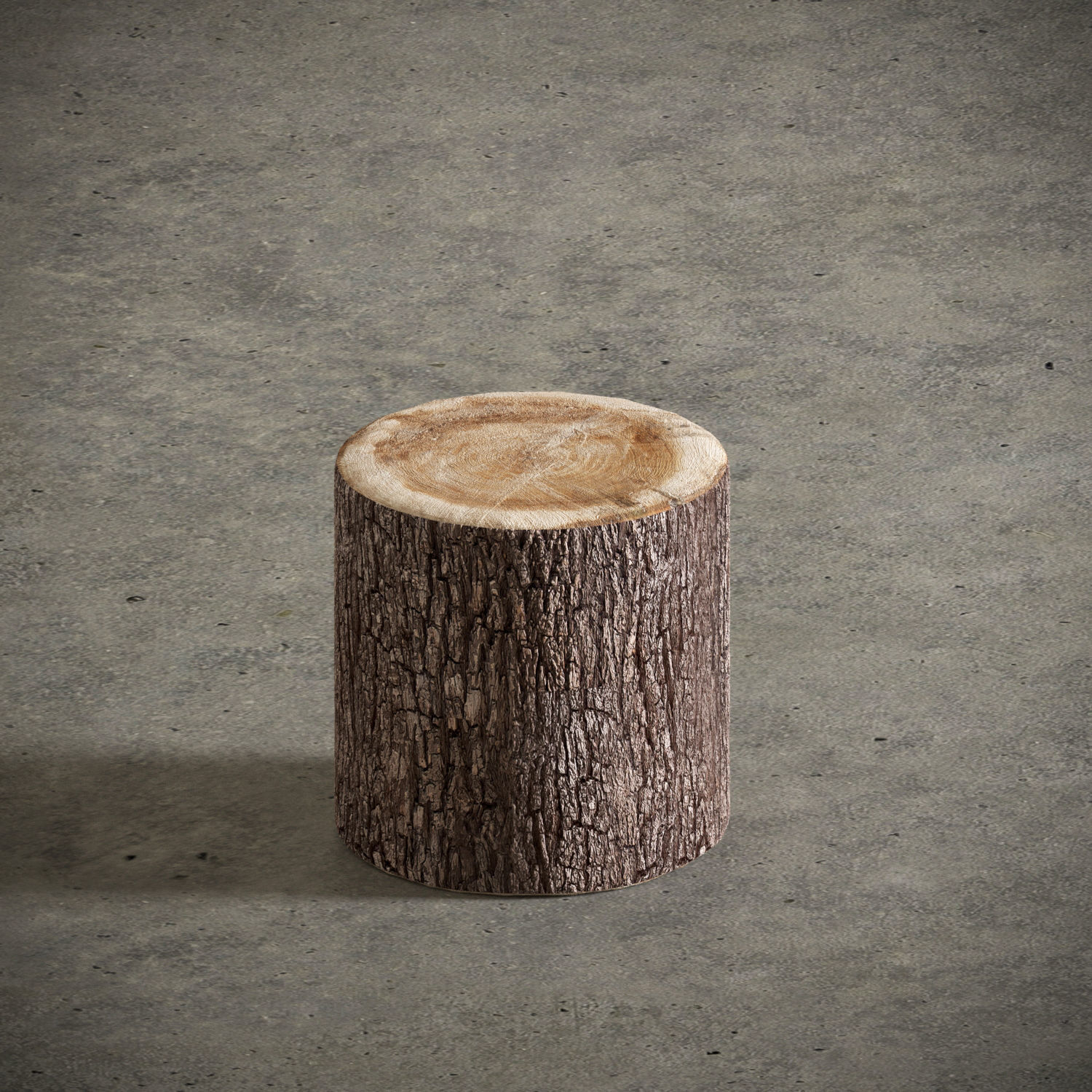 Tree Stump Side Table 3D model_2