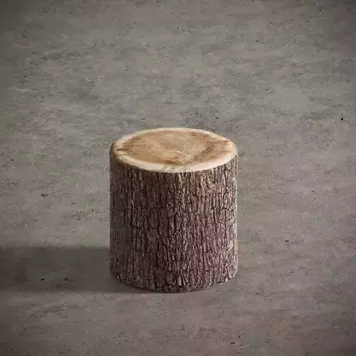 Tree Stump Side Table