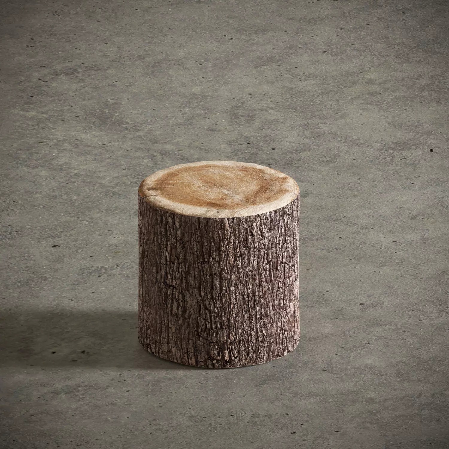 Tree Stump Side Table 3D model_0