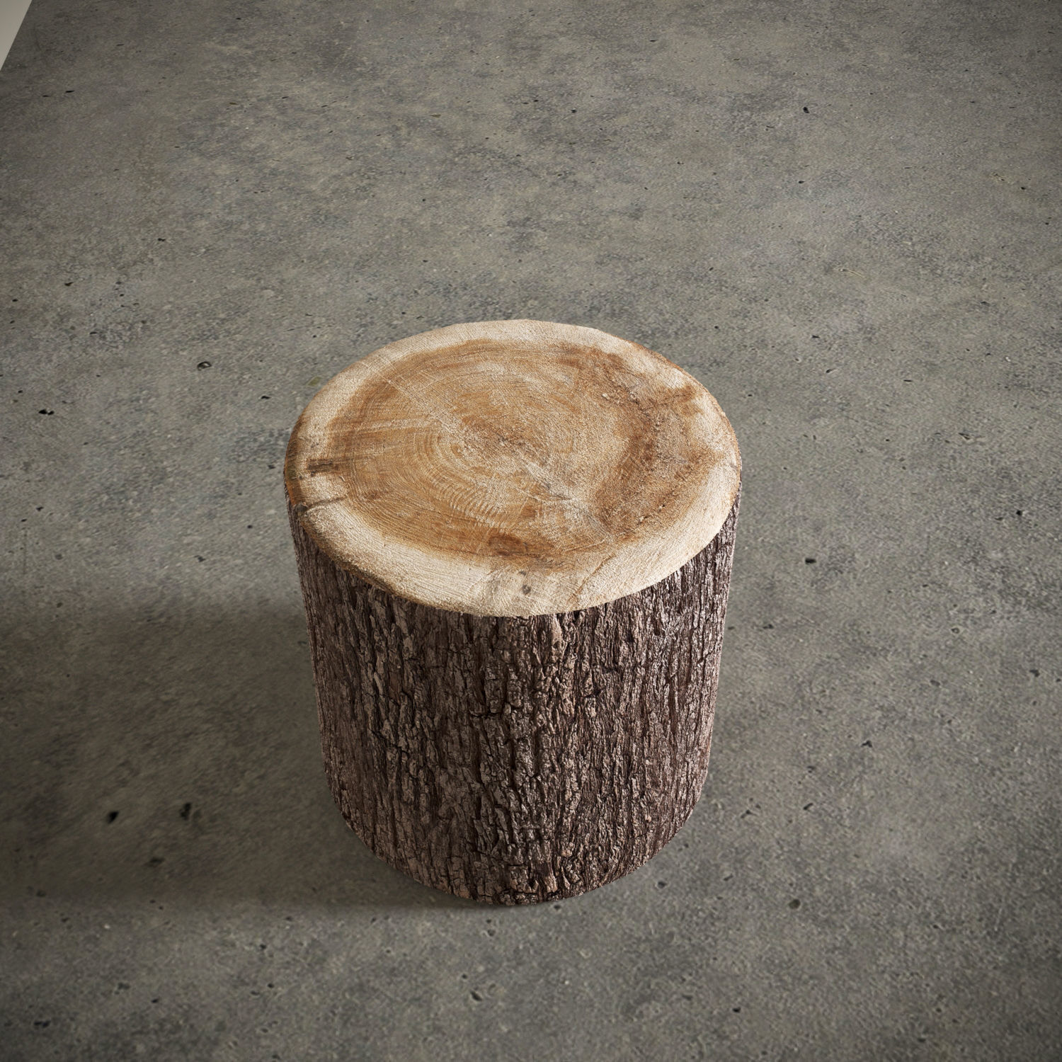 Tree Stump Side Table 3D model_5