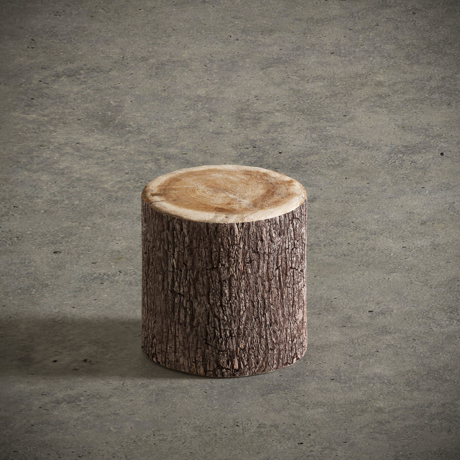 Tree Stump Side Table 3D model_3