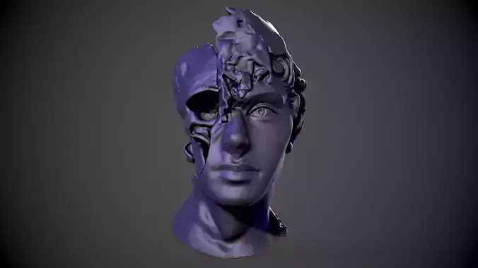 Half Face and Half Skull 3D print model