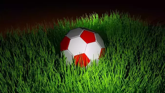 Soccer Ball Free 3D model