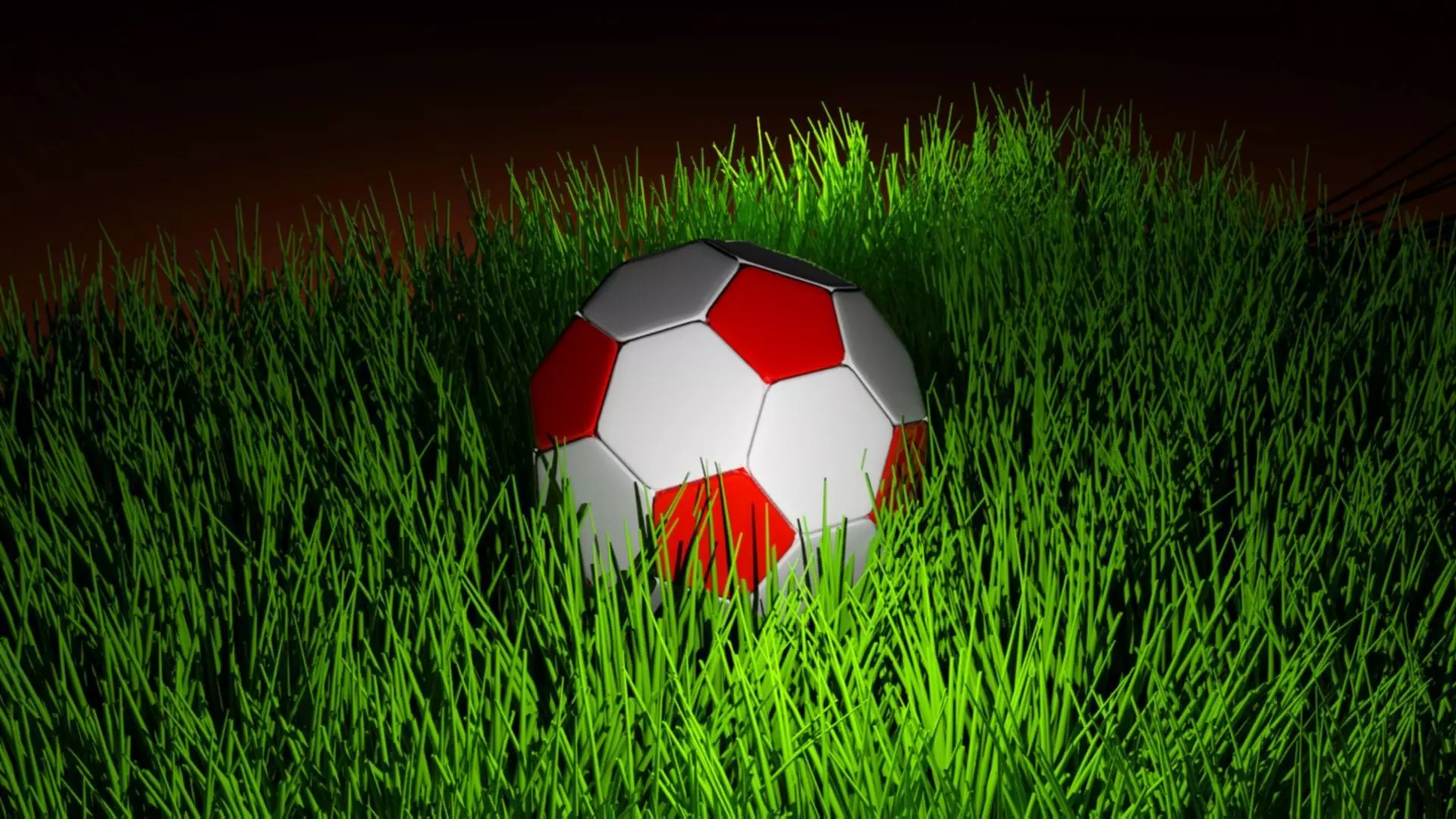 Soccer Ball Free 3D model_0